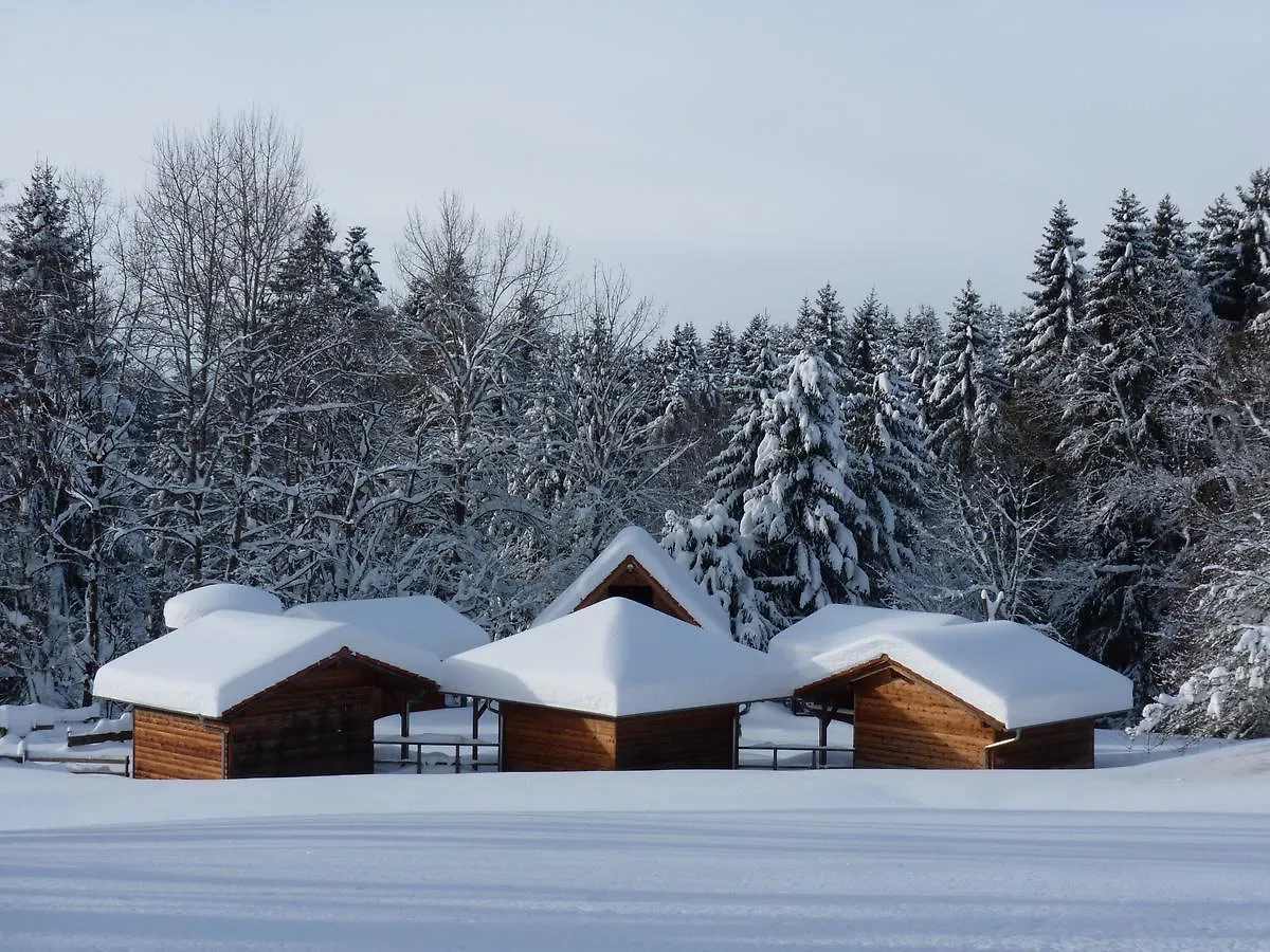 Holiday home Ferienclub Maierhoefen